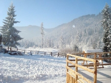 Pensiunea Transilvania - alloggio in  Harghita Covasna, Tusnad (15)