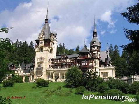 Casa Vultuurilor - accommodation in  Prahova Valley (Surrounding)