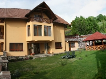 Pensiunea Amnesia - accommodation in  Sovata - Praid (02)