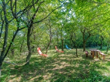 Casa de vacanta traditionala Romaneasca - alloggio in  Slanic Prahova, Cheia (53)