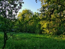 Casa de vacanta traditionala Romaneasca - accommodation in  Slanic Prahova, Cheia (57)