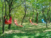 Casa de vacanta traditionala Romaneasca - accommodation in  Slanic Prahova, Cheia (58)