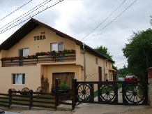 Pensiunea Tora - accommodation in  Oasului Country, Maramures Country (01)