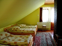 Pensiunea Gentiana - accommodation in  Harghita Covasna, Lacu Rosu (19)