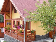 Pensiunea Gentiana - accommodation in  Harghita Covasna, Lacu Rosu (31)