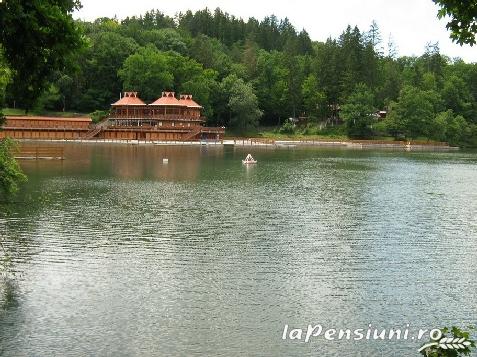 Pensiunea Fortuna - accommodation in  Sovata - Praid (Surrounding)