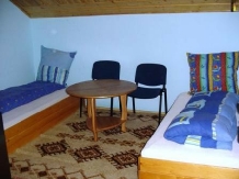 Pensiunea Elena - accommodation in  Oasului Country, Maramures Country (08)