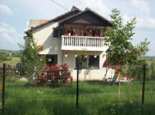 Pensiunea Elena - accommodation in  Oasului Country, Maramures Country (10)