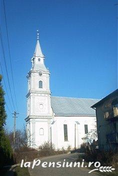 Pensiunea Elena - accommodation in  Oasului Country, Maramures Country (Surrounding)