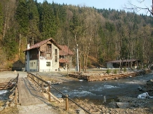 Pensiunea Denisa - alloggio in  Transilvania (12)