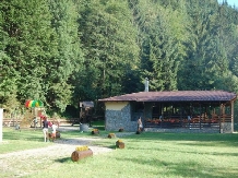 Pensiunea Denisa - alloggio in  Transilvania (18)