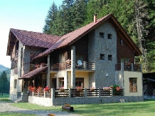 Pensiunea Denisa - alloggio in  Transilvania (19)