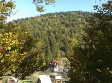 Pensiunea Denisa - accommodation in  Transylvania (21)