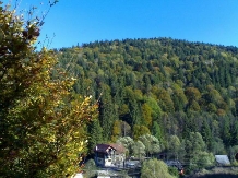 Pensiunea Denisa - alloggio in  Transilvania (22)