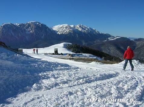 Pensiunea Denisa - accommodation in  Transylvania (Surrounding)