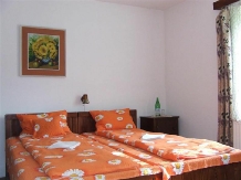 Pensiunea Ilyes - accommodation in  Harghita Covasna (08)