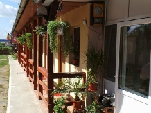 Pensiunea Raul - accommodation in  Oasului Country, Maramures Country (13)