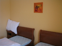Pensiunea Boroka - accommodation in  Harghita Covasna, Odorhei (08)