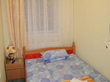 Pensiunea Huta Certeze - accommodation in  Oasului Country, Maramures Country (04)