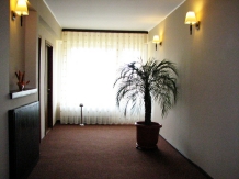 Pensiunea Damatis - accommodation in  Moldova (09)