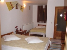 Pensiunea Liana - accommodation in  Rucar - Bran (06)