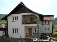 Pensiunea Rustic Argesean - accommodation in  Fagaras and nearby, Transfagarasan (01)