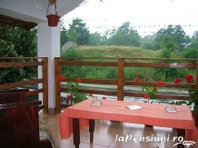 Pensiunea Rustic Argesean - accommodation in  Fagaras and nearby, Transfagarasan (04)