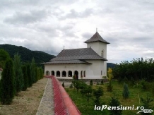 Pensiunea Rustic Argesean - cazare Fagaras, Transfagarasan (06)