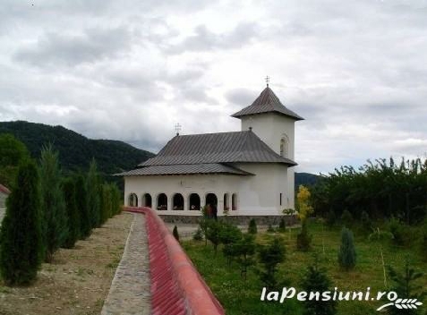 Pensiunea Rustic Argesean - accommodation in  Fagaras and nearby, Transfagarasan (Surrounding)