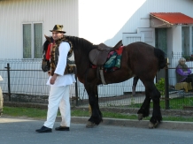 Pensiunea Perla Bucovinei - accommodation in  Gura Humorului, Voronet, Bucovina (17)