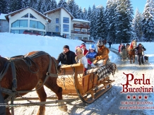 Pensiunea Perla Bucovinei - accommodation in  Gura Humorului, Voronet, Bucovina (36)