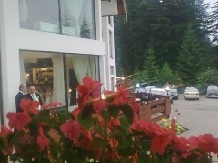 Pensiunea Perla Bucovinei - accommodation in  Gura Humorului, Voronet, Bucovina (39)