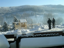 Pensiunea Perla Bucovinei - accommodation in  Gura Humorului, Voronet, Bucovina (71)