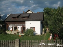 Pensiunea cu Flori - accommodation in  Fagaras and nearby, Transfagarasan (01)