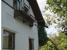 Pensiunea cu Flori - accommodation in  Fagaras and nearby, Transfagarasan (02)