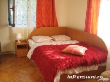 Pensiunea cu Flori - accommodation in  Fagaras and nearby, Transfagarasan (07)