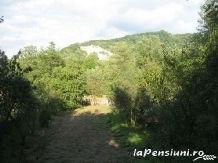 Pensiunea cu Flori - accommodation in  Fagaras and nearby, Transfagarasan (10)