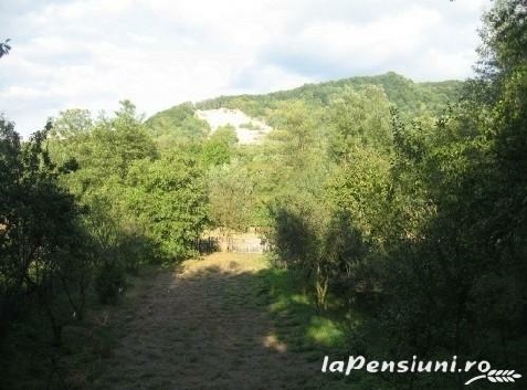 Pensiunea cu Flori - cazare Fagaras, Transfagarasan (Activitati si imprejurimi)