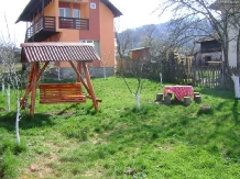 Casa Madalina - alloggio in  Fagaras e vicinanze, Transfagarasan (03)