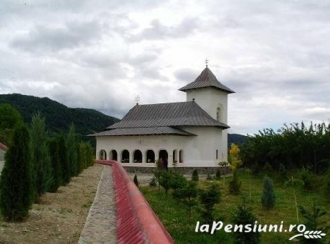 Casa Madalina - alloggio in  Fagaras e vicinanze, Transfagarasan (Attivit&agrave; e i dintorni)