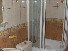 Pensiunea Nechita - accommodation in  Bistrita (05)