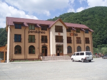 Pensiunea Sonia - accommodation in  Bistrita (01)