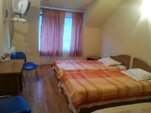Pensiunea Sonia - accommodation in  Bistrita (02)