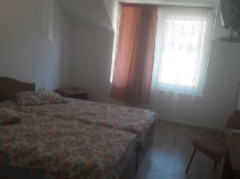 Pensiunea Sonia - accommodation in  Bistrita (03)