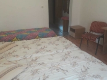 Pensiunea Sonia - accommodation in  Bistrita (07)