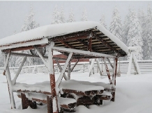 Cabana Croitor - alloggio in  Bistrita (13)