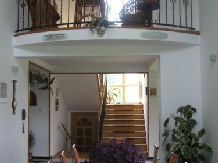 Pensiunea Uzu - accommodation in  Comanesti (04)