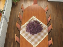 Pensiunea Uzu - accommodation in  Comanesti (06)