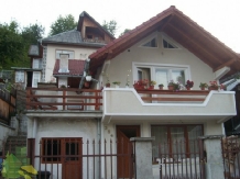 Pensiunea Irina - accommodation in  Bistrita (01)