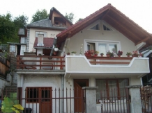 Pensiunea Irina - accommodation in  Bistrita (04)